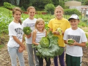 4youngvolunteerswithcabbagen