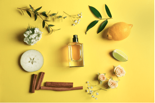 Screen Shot 2018 06 21 at 5.18.58 AM