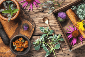 Useful Herbs To Promote Brain Health