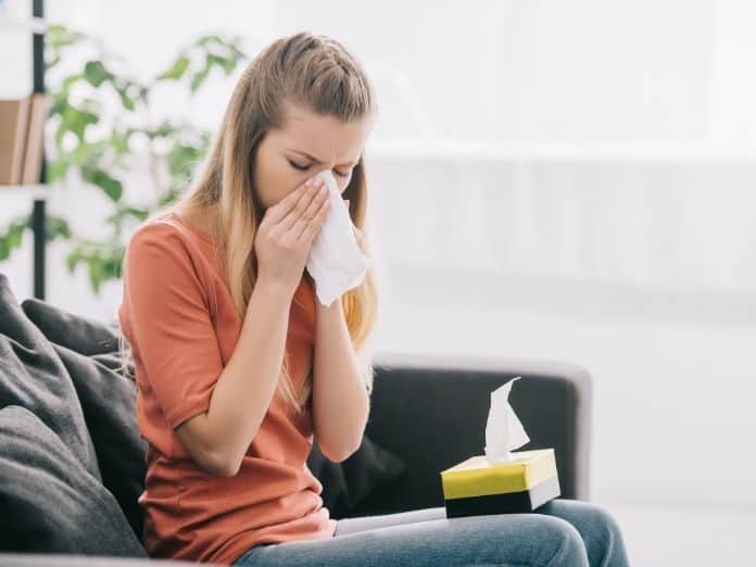 Is Your Home Triggering Your Allergies?
