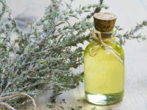 A Guide to Botanical Oils and Extracts