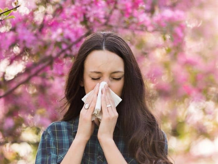 Tips for Staying Ahead of Seasonal Allergies