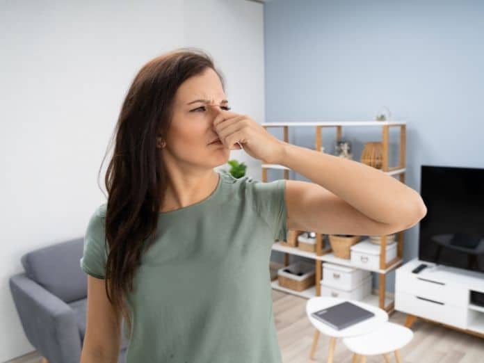 Tips for Creating a More Sensory-Sensitive Home