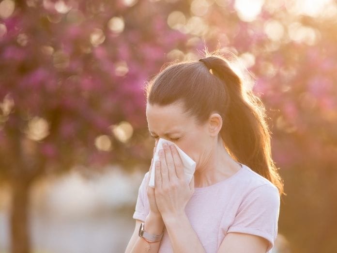 How Replacing Your Insulation Can Reduce Allergy Symptoms