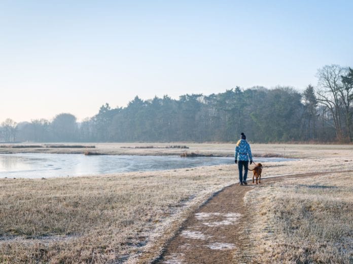 Practical Tips for Staying Active in Cold Weather