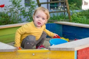 Chicken pox is caused by