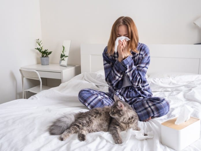 A homeowner laying in bed with her cat suffering from seasonal allergies symptoms such as a runny nose.