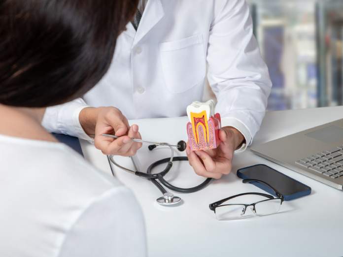 A dental professional holding a model of a tooth and pointing to the roots. Across the table is a woman watching.