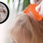 A close-up of a person running a fine comb through a child's hair. In the corner, a magnifying glass shows lice in hair.