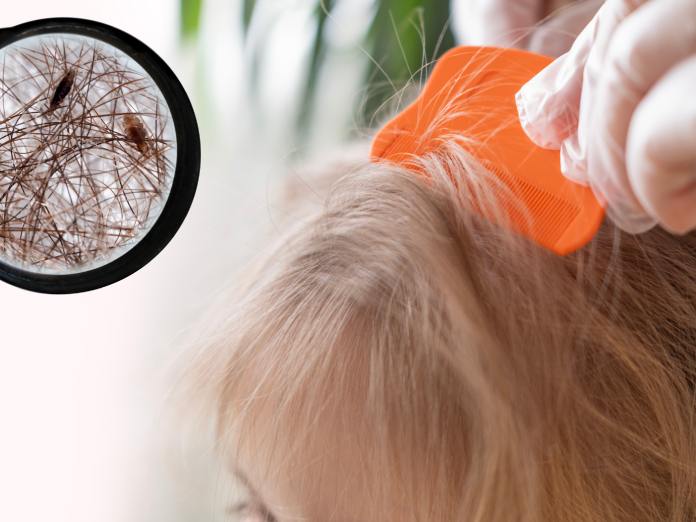 A close-up of a person running a fine comb through a child's hair. In the corner, a magnifying glass shows lice in hair.